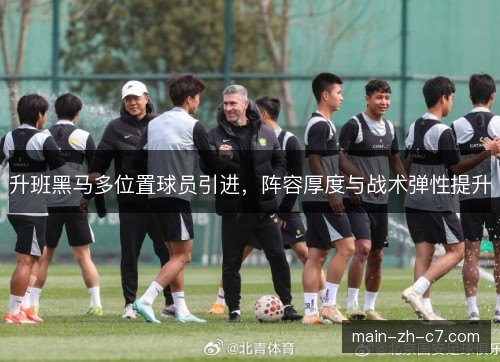 升班黑马多位置球员引进,阵容厚度与战术弹性提升 升班黑马多位置球员引进,阵容厚度与战术弹性提升